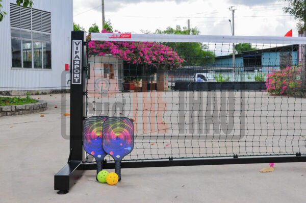 Tru luoi pickleball thi dau 2